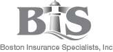 Boston Insurance Logo