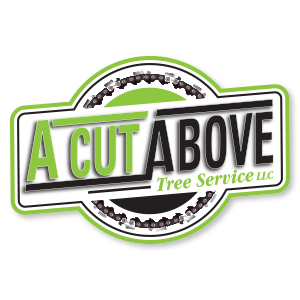 A cut above tree service